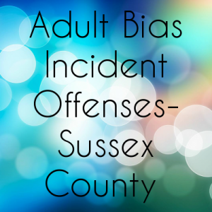 Adult Bias Incident Offenses- Sussex County